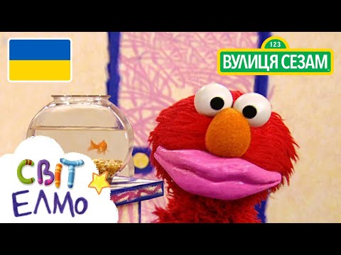 Світ Елмо: Роти (Ласкаво просимо до Сезамi) (Світ Елмо: Роти (Ласкаво просимо до Сезамi))