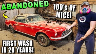 I Found The DIRTIEST Ford Mustang Sitting in a Barn....Can it be Cleaned??
