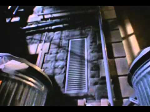 Die Ratten sind los....