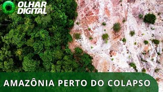 Miniatura do vídeo
