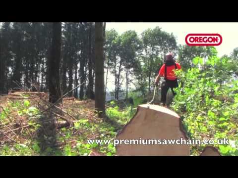 Oregon skovmålebånd, 15 m