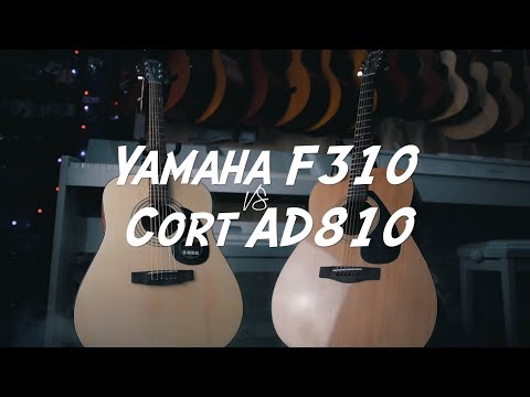 Yamaha F310 VS Cort AD810 | Сравнительный обзор
