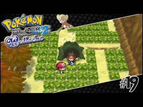 Lostlorn Forest! | Pokemon Black 2 Wedlocke - Part 19