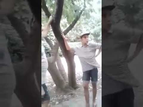 Rapero  humillado por viejo