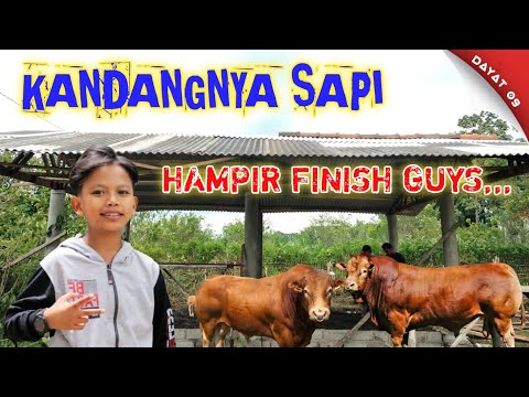 NEW💯KANDANG SAPINYA FAREL CUKUP LUAS GUYS,,,#farelprayoga #anekasafarirecord #farelkonser