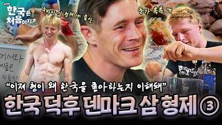 [요약] "이제 왜 형이 한국 좋아하는지 알겠어" 여행 마지막 날, 눈가가 촉촉해진 요나스~~🥺 굿바이 삼 형제 in 울산! | #어서와한국은처음이지 | EP.443
