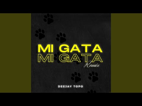 Mi Gata (Remix)