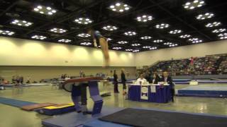 Grace Gough Lv10 JPAC, Vault 2015CircleofStars