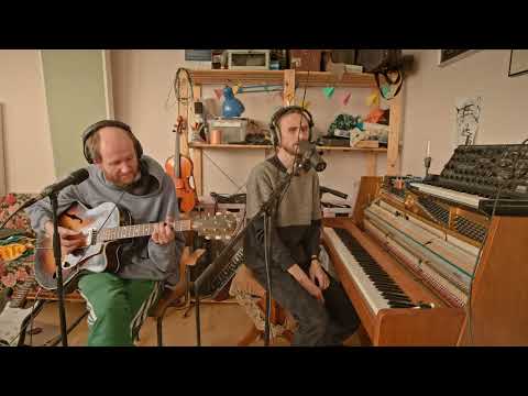 Den svenska björnstammen spelar - En av ungarna