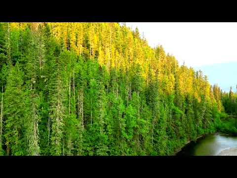 Blue River CANADA BC