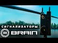 Відео Набір сигналізаторів Brain Wireless Bite Alarm B-1 2+1