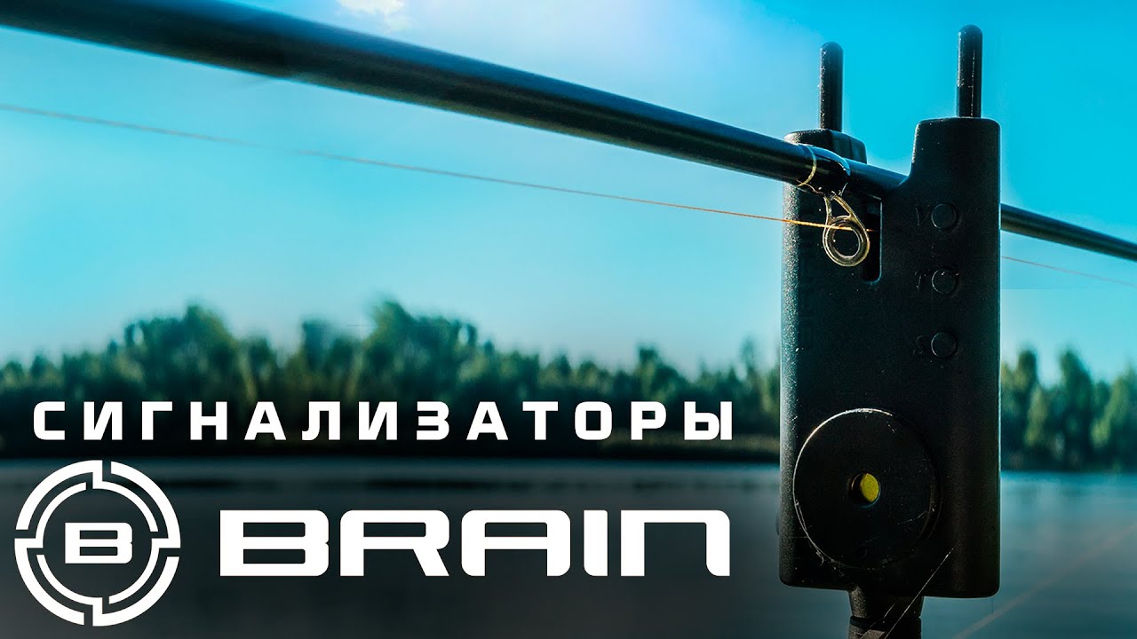 Набір сигналізаторів Brain Wireless Bite Alarm B-1 2+1