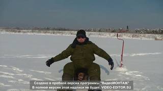 Ловля на жерлицы в подмосковье зимой