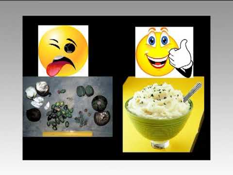 CATCHING FIRE🎬 HOW COOKING MADE US HUMAN🎬🎬🎬