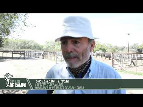 Luis Ledesma - Ledesma y Arana - Miércoles 10 de marzo de 2021 - Tandil