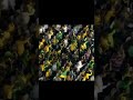 Usain Bolt Mass Mass Whatsapp Status In Tamil