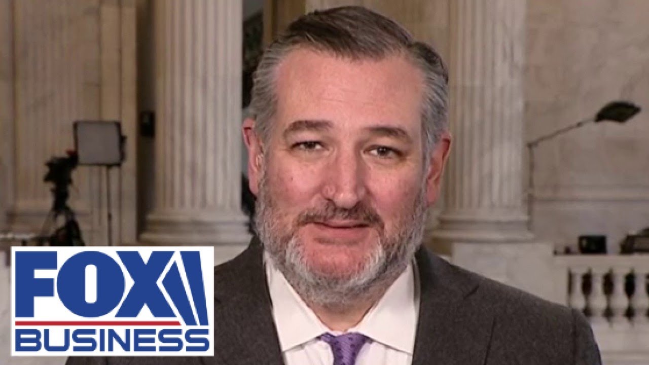 Ted Cruz says it is 'breathtaking' what DOGE is uncovering