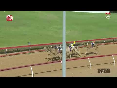  ش 29 (مشرف) لـ محمد أحمد بن سعيد ثوعار 2:20:4 , تسعيرة بن حماد الشامسي 2026/04/18 فطامين 