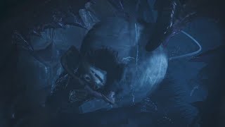 【 MHW】ネルスキュラにくるくるされるモリバー　ルロウ「モンスターハンターワイルズ」Monster Hunter Wilds