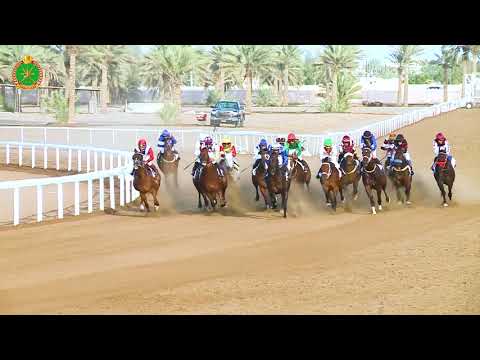الشوط السابع - السباق الثالث- 02/11/2018 - Race 7 3rd meeting
