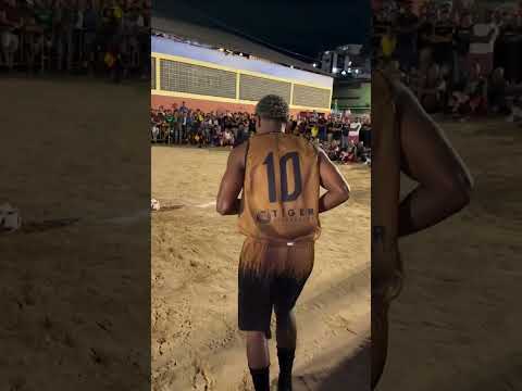 TÁ CERTO, NARRADOR! O IMPORTANTE É FALAR O NOME DE QUEM FAZ O GOL! 🤣🔥 #shorts