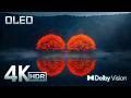 Mesmerizing Views In 4K HDR 120FPS Dolby Vision 4K 8K TV