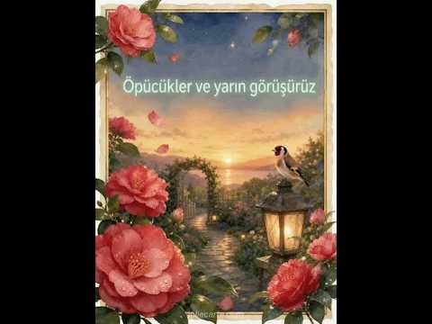 sharmistha bagchi YARIN GORUSURUZ - A TURKISH ROMANTIC SONG