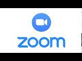 Microphone Test Zoom