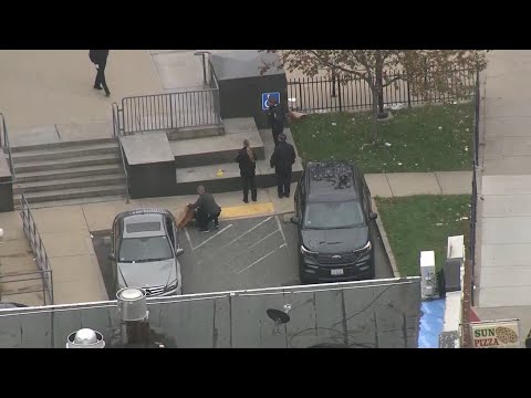 Student shot on front steps of Boston school, classmate arrested