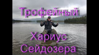 Рыбалка в кольском полуострове лучшая ловозеро