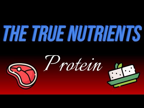 Protein - The True Nutrients