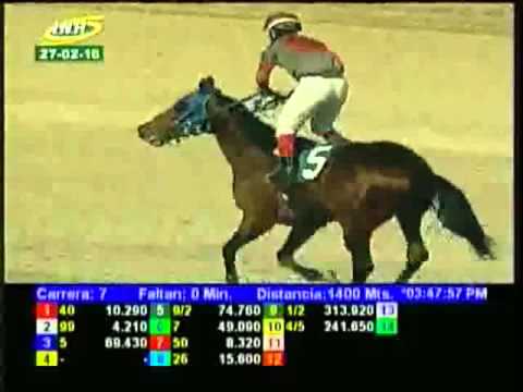 Resumen Sábado, 27 de Febrero de 2016 - La Rinconada