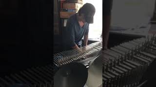 Video thumbnail for Marc Chouarain presents the Cristal Baschet (Rare Instruments) by Marc Chouarain