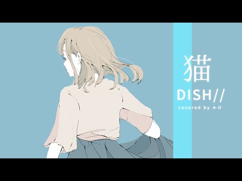 猫／DISH// covered by かぴ