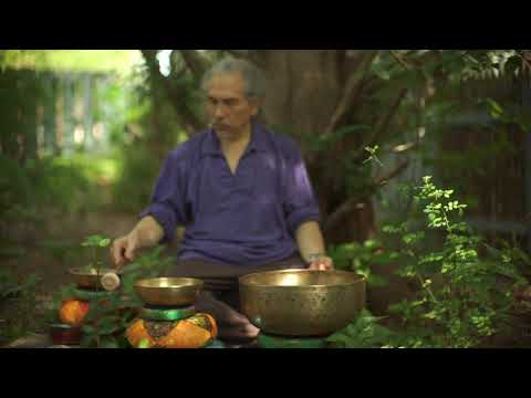 Redwood 3 Sonic Bowl Meditation ~ 1 hr.