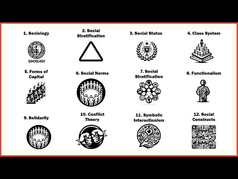 A Full Sociology Degree in 13 Minutes