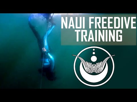 Moonsong Freediving: NAUI freedivers practicing depth training