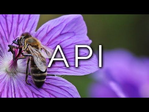 1487-IT Oana, API - Ipnosi Esoterica ∞ Lucio Carsi