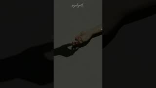 Download lagu PANCE F PONDAAG yang pertama kali status wa mp3 Download lagu PANCE F PONDAAG yang pertama kali status wa mp3