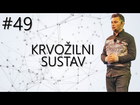 #49 - Krvožilni sustav