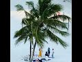 Dancing Under The Palms: A Stunning Beach Dance Performance - Palm Trees, White Sands and waves.
