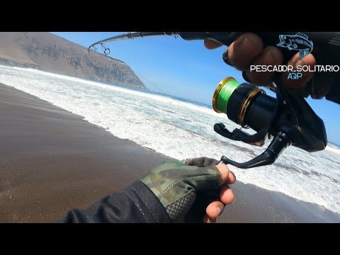 Campeonato De Pesca en Caleta CAMARONES ARICA - CHILE 2025