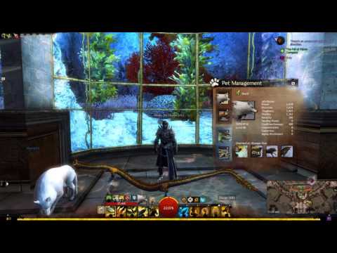 Guild Wars 2 Ranger Pet management