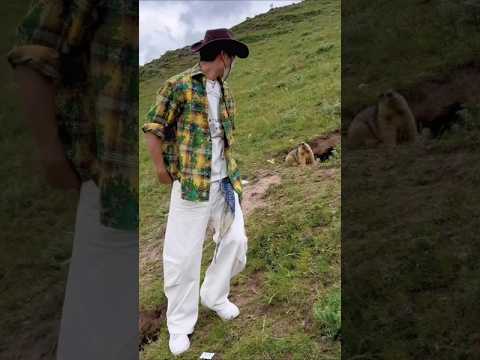 Tianjin Shake x Mente Má (Nakama & Mc Staff) / Sword and Horse Dance – Zenstyle #dancecover