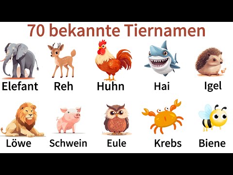 Deutsch Lernen| 70 Tierarten mit Artikel| Sprechen &amp; Hören| A1-B1| Deutsch für Anfänger