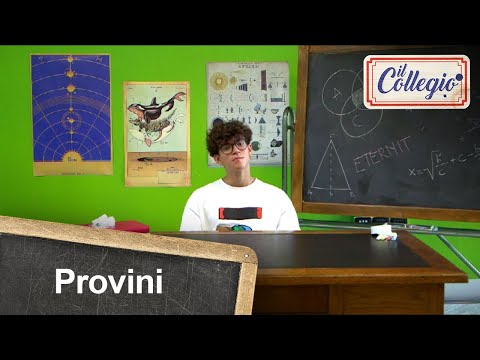 Provini: I Promessi Sposi... e il finale a sorpresa! - Il Collegio 5