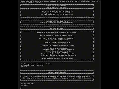 Download Video Demo