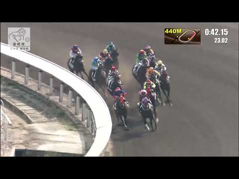 港經佬賽事重溫｜18-12-2021 田草日馬第四場賽事重溫 (264)｜龍騰飛翔 Flying Dragon (E360)｜梁家俊 K C Leung｜葉楚航 C H Yip｜免費心水及賽馬貼士