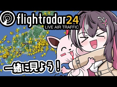 【Flightradar24】フライトレーダー24を眺めるだけ【ホロライブ / AZKi】