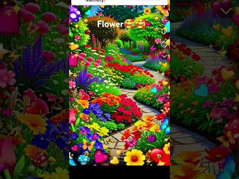 flowers 🥰🥰😍😍